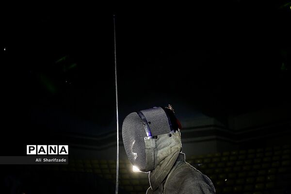 لیگ برتر شمشیربازی