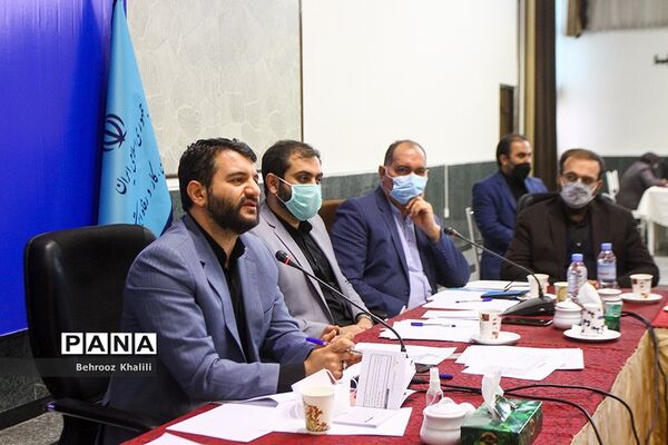 دومین جلسه ستاد ساماندهی و حمایت از مشاغل خانگی