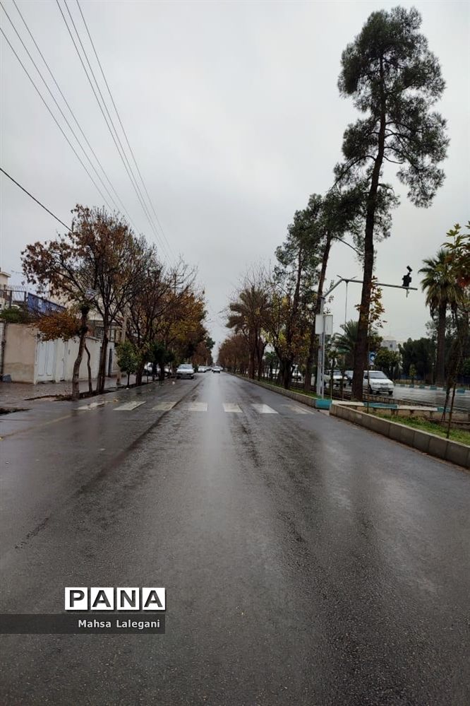 طراوت زمستانی شیراز پس از بارش نخستین باران فصلی