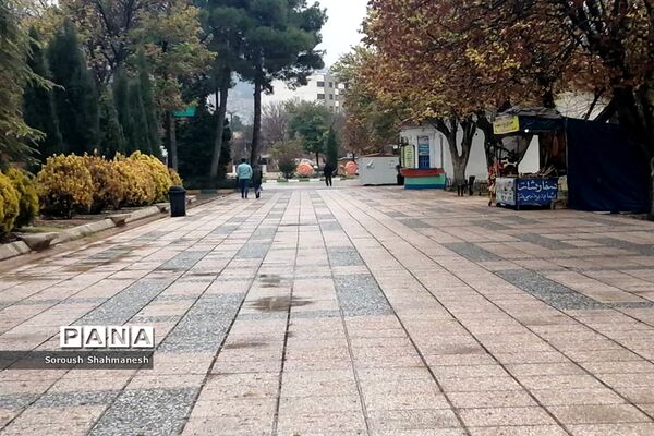 طراوت زمستانی شیراز پس از بارش نخستین باران فصلی