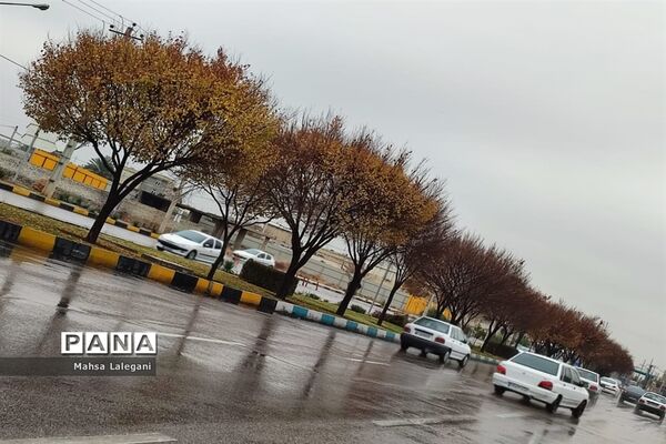 طراوت زمستانی شیراز پس از بارش نخستین باران فصلی