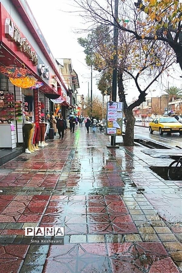 طراوت زمستانی شیراز پس از بارش نخستین باران فصلی
