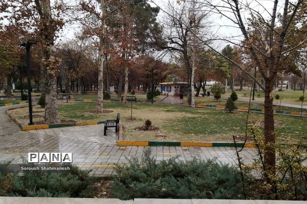 طراوت زمستانی شیراز پس از بارش نخستین باران فصلی