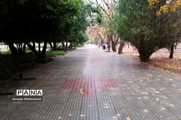 طراوت زمستانی شیراز پس از بارش نخستین باران فصلی