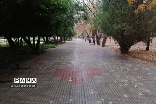 طراوت زمستانی شیراز پس از بارش نخستین باران فصلی