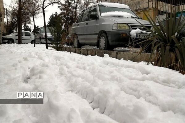 بارش برف در شهرستان دماوند