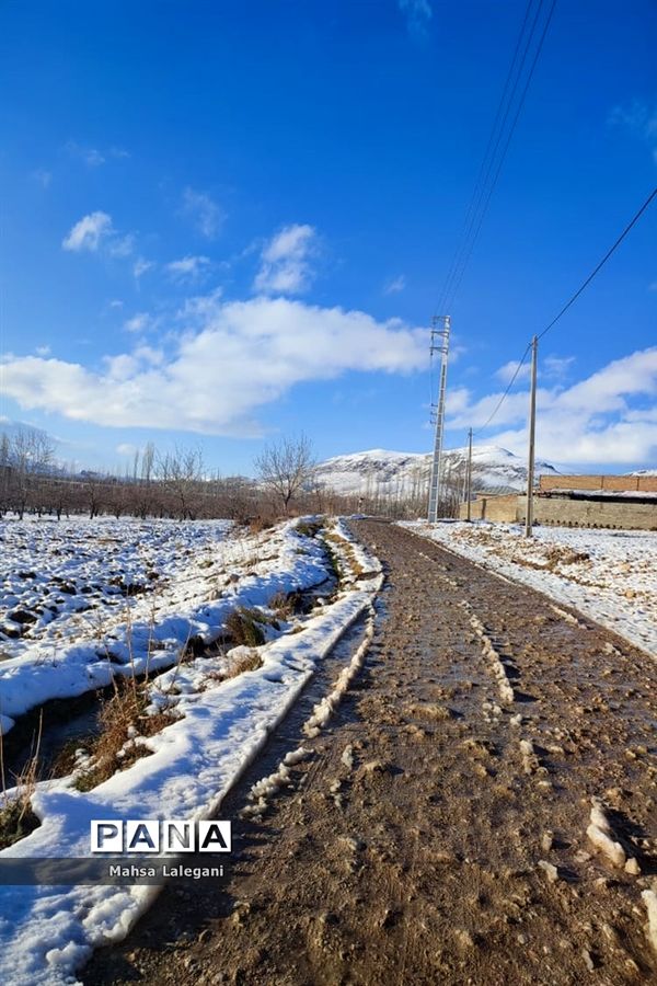طبیعت برفی هماشهر در سپیدان