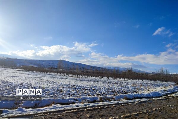 طبیعت برفی هماشهر در سپیدان
