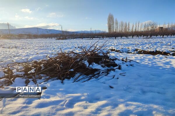 طبیعت برفی هماشهر در سپیدان