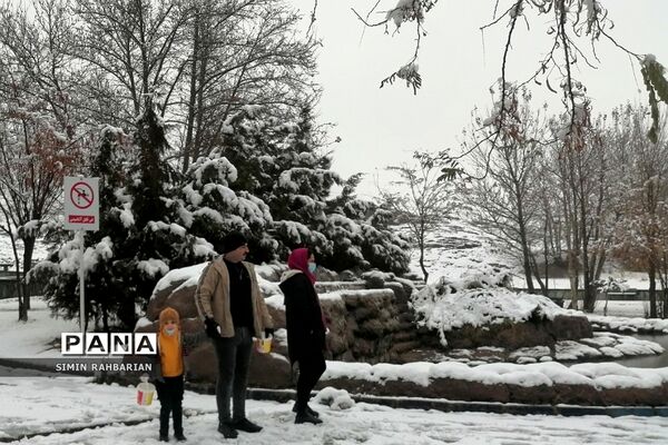 برف، زندگی می‌بارد