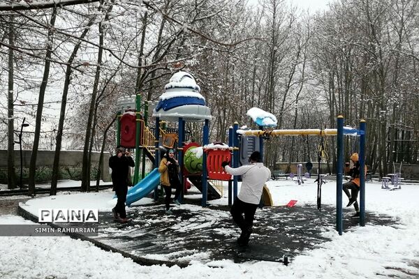 برف، زندگی می‌بارد