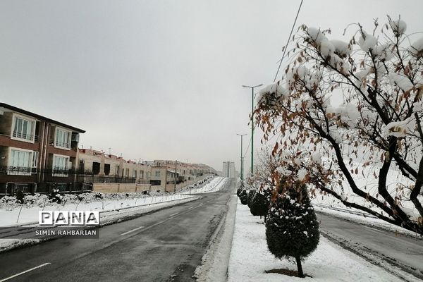 برف، زندگی می‌بارد