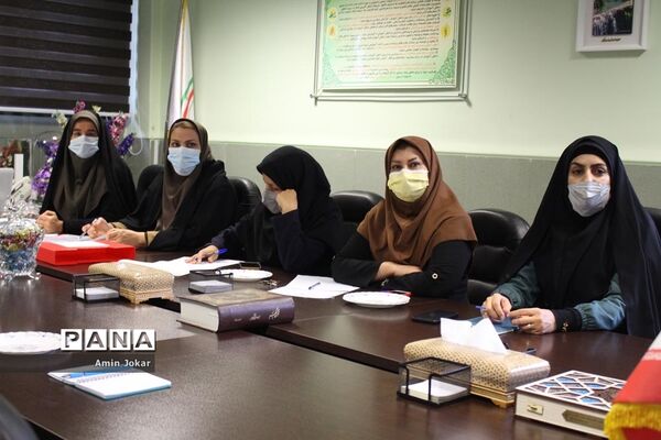 جلسه هماهنگی برگزاری ششمین جشنواره سفیران سلامت در فارس