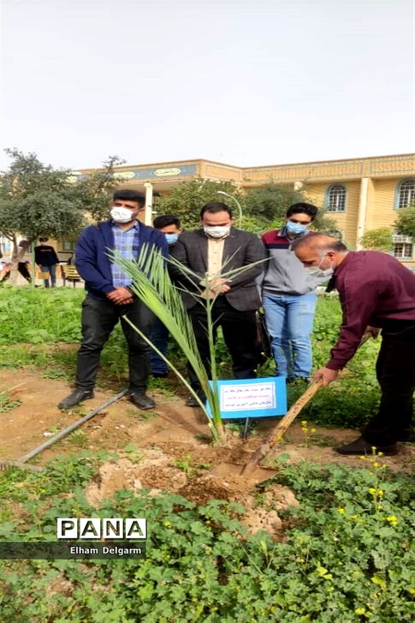 آیین درختکاری در مدارس شوشتر
