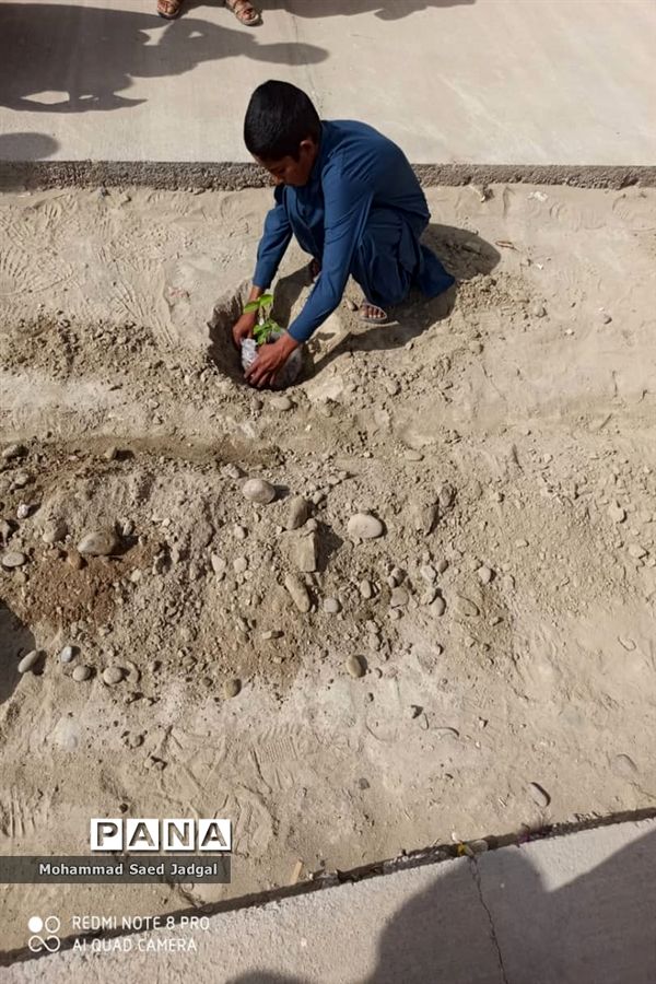 نکوداشت روز درختکاری در منطقه پلان