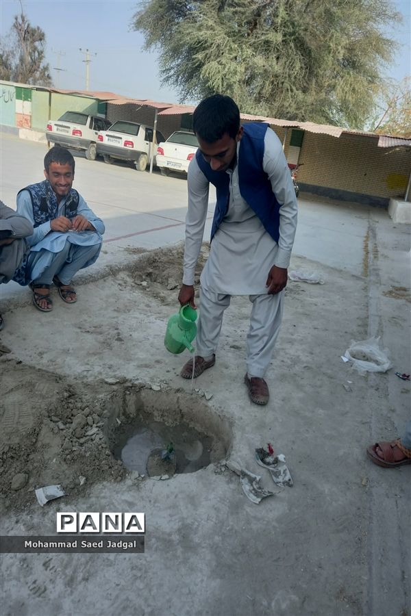 نکوداشت روز درختکاری در منطقه پلان