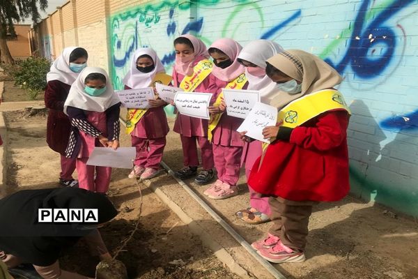 کاشتن نهال در روز درختکاری در مدارس حمیدیه