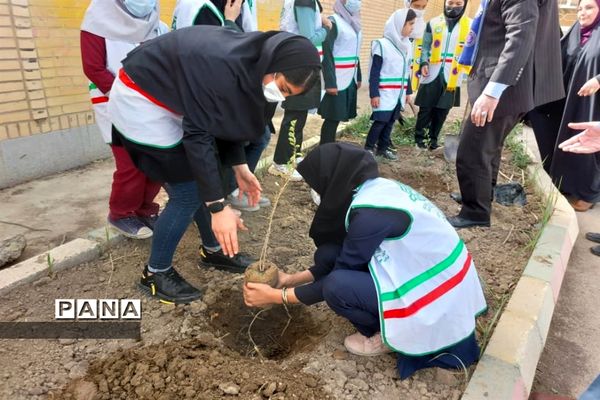 کاشتن نهال در روز درختکاری در مدارس حمیدیه