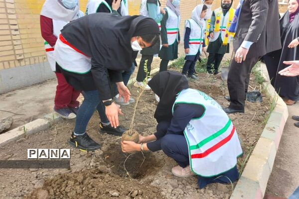 کاشتن نهال در روز درختکاری در مدارس حمیدیه