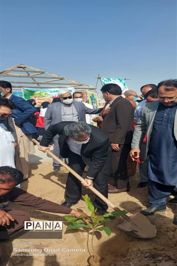 سنت حسنه درختکاری در چابهار