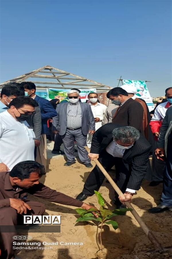 سنت حسنه درختکاری در چابهار