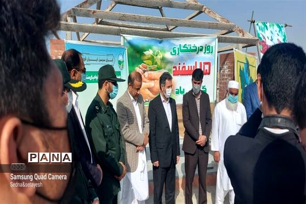 سنت حسنه درختکاری در چابهار