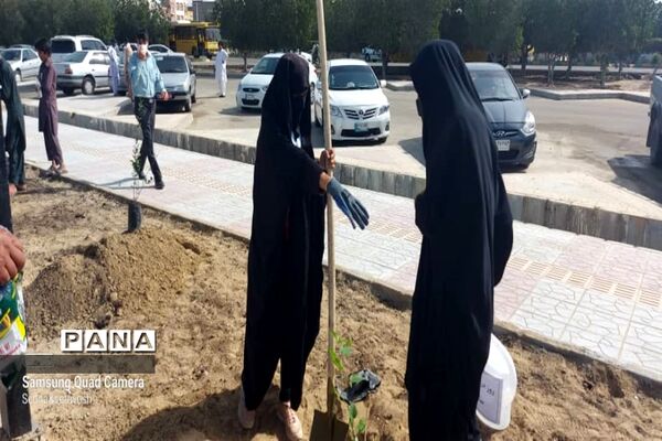 سنت حسنه درختکاری در چابهار