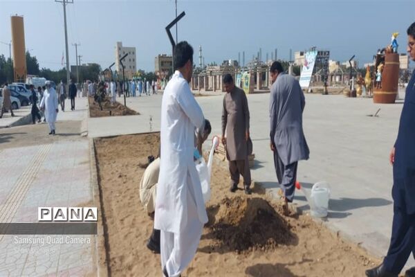 سنت حسنه درختکاری در چابهار