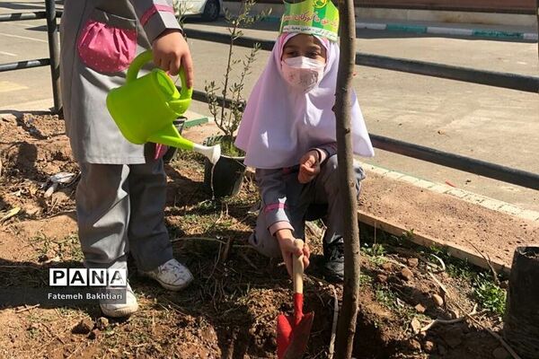 کاشت نهال در مراکز پیش‌دبستانی ناحیه یک شهرری