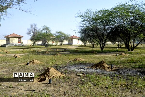 مراسم روز درختکاری در اردوگاه تربیتی امام خمینی (ره)  استان بوشهر چاهکوتا برگزار شد