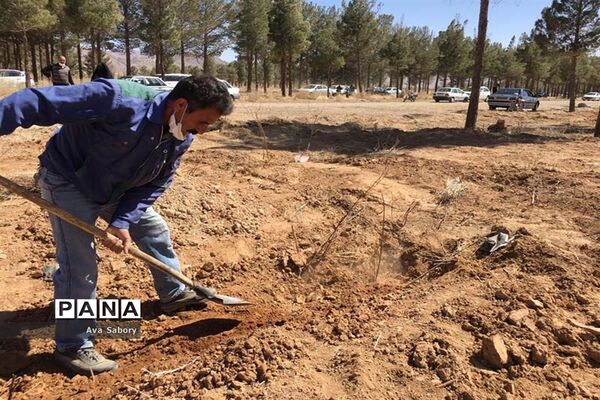 با حضور مسئولان آموزش و پرورش آباده  اجرای پویش ایران سر سبز
