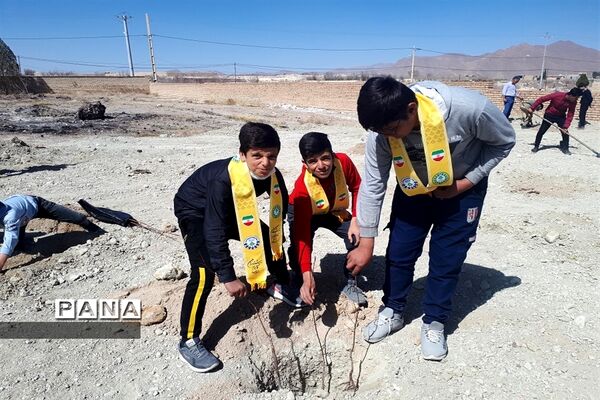 کاشتن نهال در روز درختکاری مدارس ابرکوه