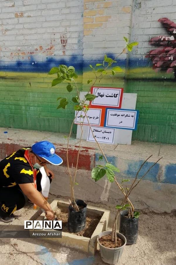 کاشت نهال به‌مناسبت روز درختکاری در مدارس بندرامام خمینی (ره)