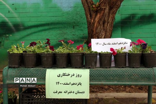 آیین استانی جشن نیکوکاری در ناحیه 4 اهواز