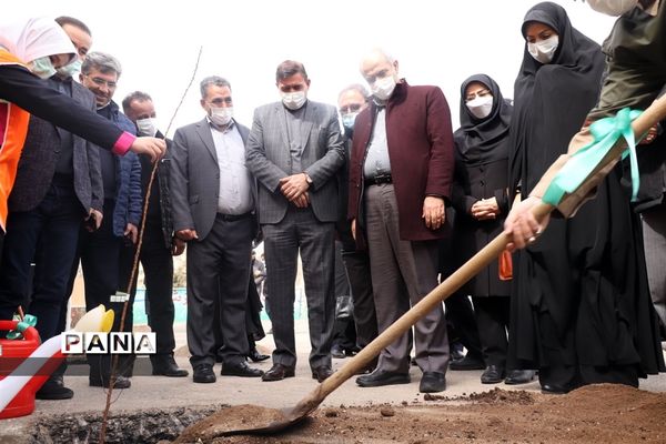 کاشت نهال میوه در روز درختکاری