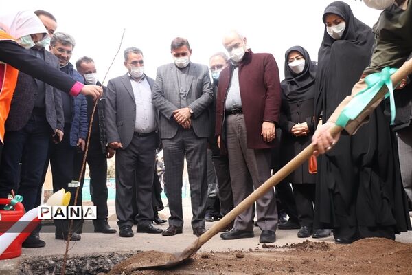 کاشت نهال میوه در روز درختکاری