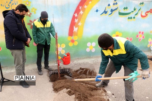 کاشت نهال میوه در روز درختکاری