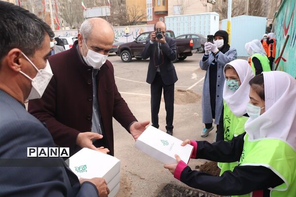 کاشت نهال میوه در روز درختکاری