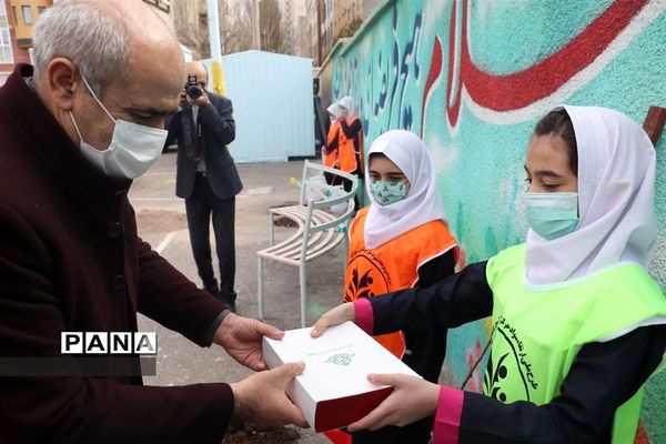 کاشت نهال میوه در روز درختکاری