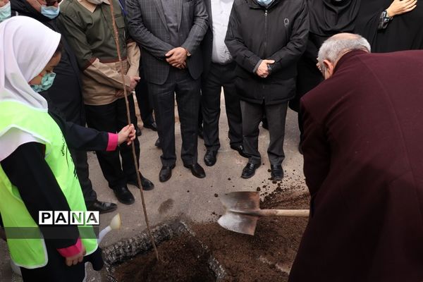 کاشت نهال میوه در روز درختکاری