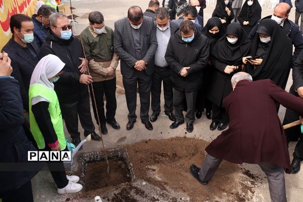 کاشت نهال میوه در روز درختکاری