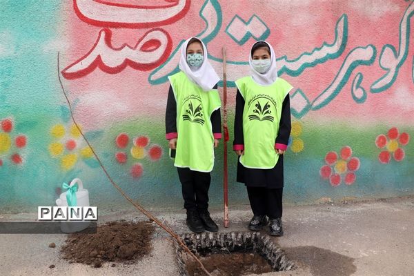 کاشت نهال میوه در روز درختکاری