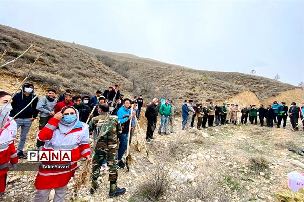 کاشت نهال در مراتع جوزک مانه و سملقان