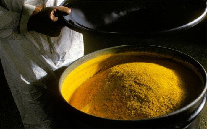 مجوز مجلس برای سرمایه‌گذاری در طرح‌های تملک دارایی‌های سرمایه‌ای جهت خرید کیک زرد