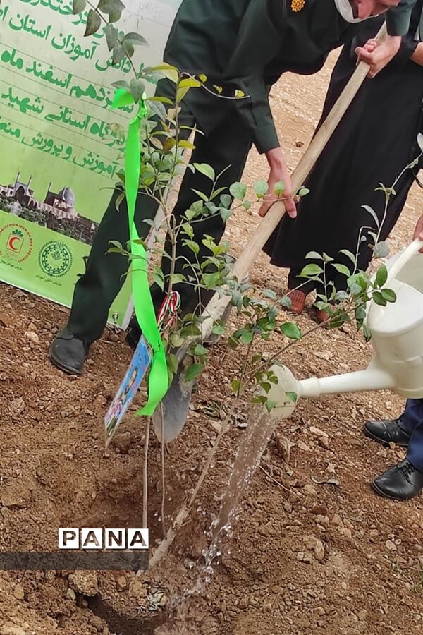 روز درختکاری در اصفهان