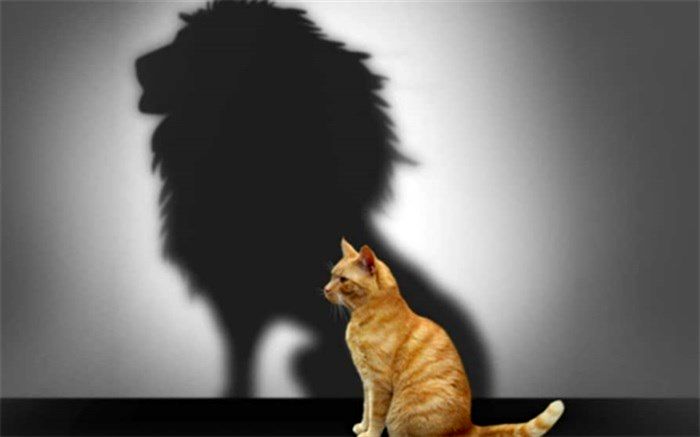 واقع‌بینی مانع اعتماد به نفس کاذب می‌شود