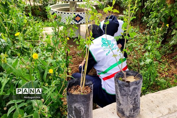 آیین درختکاری در دبیرستان شاهد ارشاد ناحیه ۳  اهواز