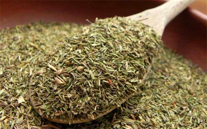 این افراد آویشن نخورند