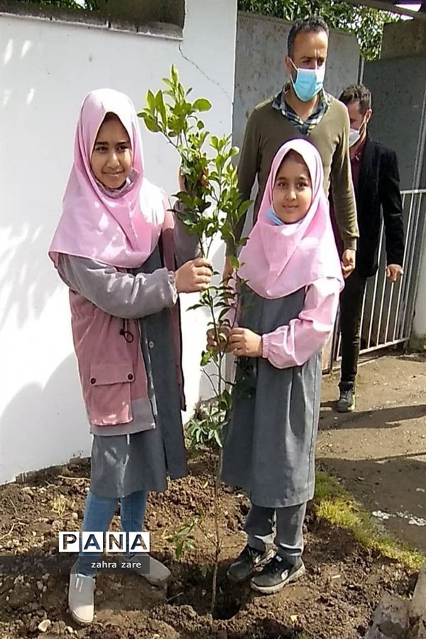 اجرای طرح کمربند سبز روستای شومیا محمودآباد با کاشت یک هزار نهال