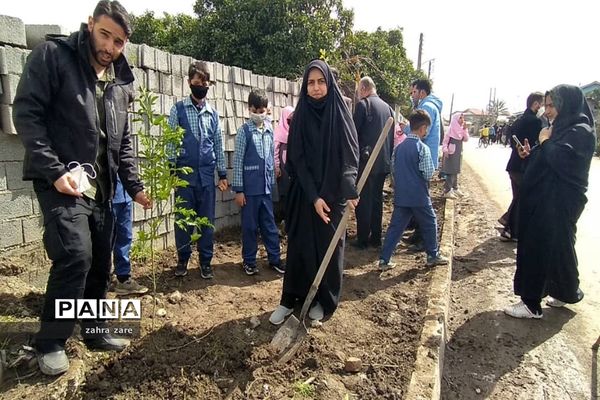 اجرای طرح کمربند سبز روستای شومیا محمودآباد با کاشت یک هزار نهال
